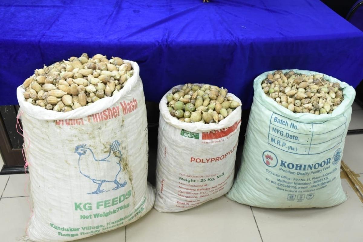 Truck with over 200 kg poppy straw seized in J&K’s Udhampur [Video]