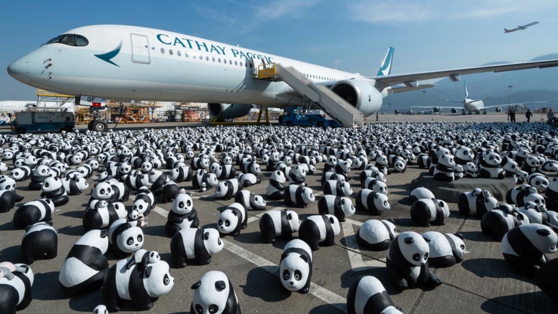 Hong Kong will display thousands of panda sculptures to capture bear enthusiasm [Video]