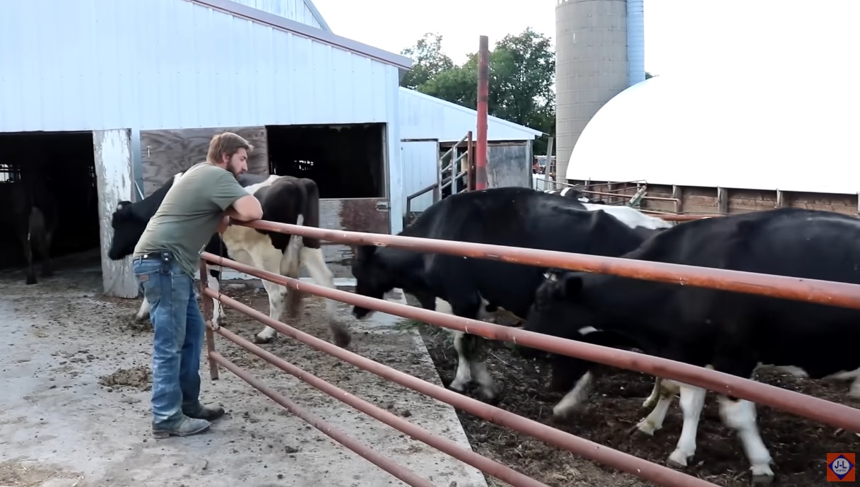 J and L Videos  After more than 60 years of milking, Schmidt Dairy is quitting the dairy business. Follow along as we watch their final milking at their small family dairy.