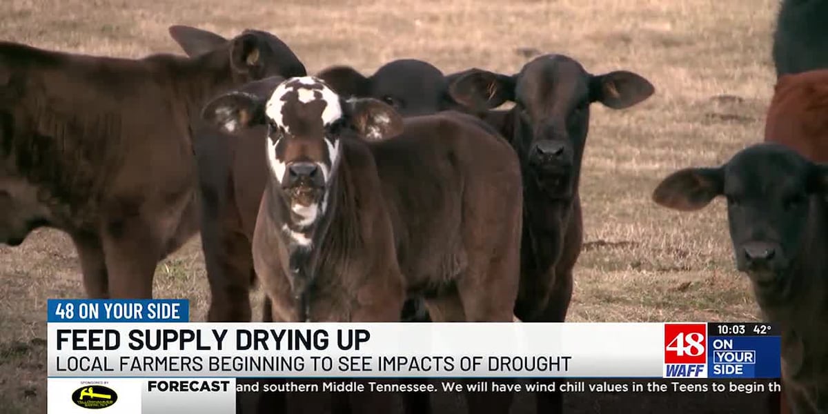 Tennessee Valley farmers facing the fallout of this years drought [Video]