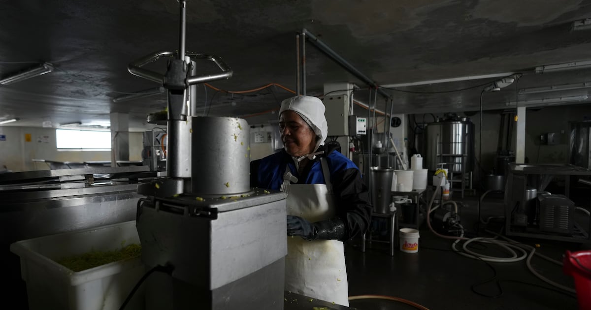 Power shortages in Ecuador are melting away the future of a small towns ice-cream industry  Boston 25 News [Video]