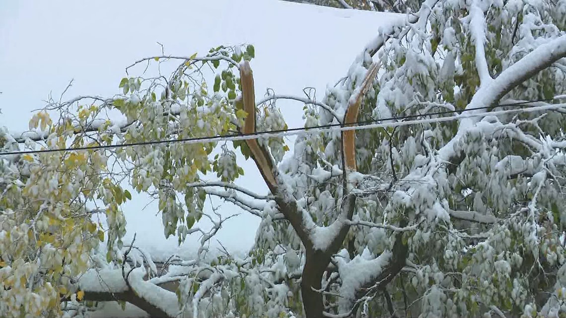 How Consumers Energy customers can report outages, as company preps for weather [Video]