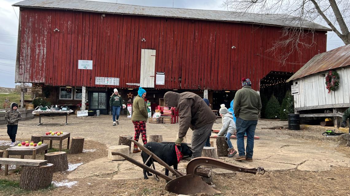 York County tree farm closes early due to high demand [Video]