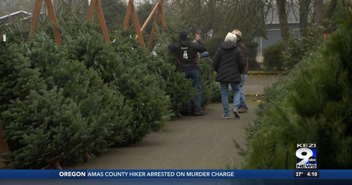 Christmas tree prices down in 2024 | Video