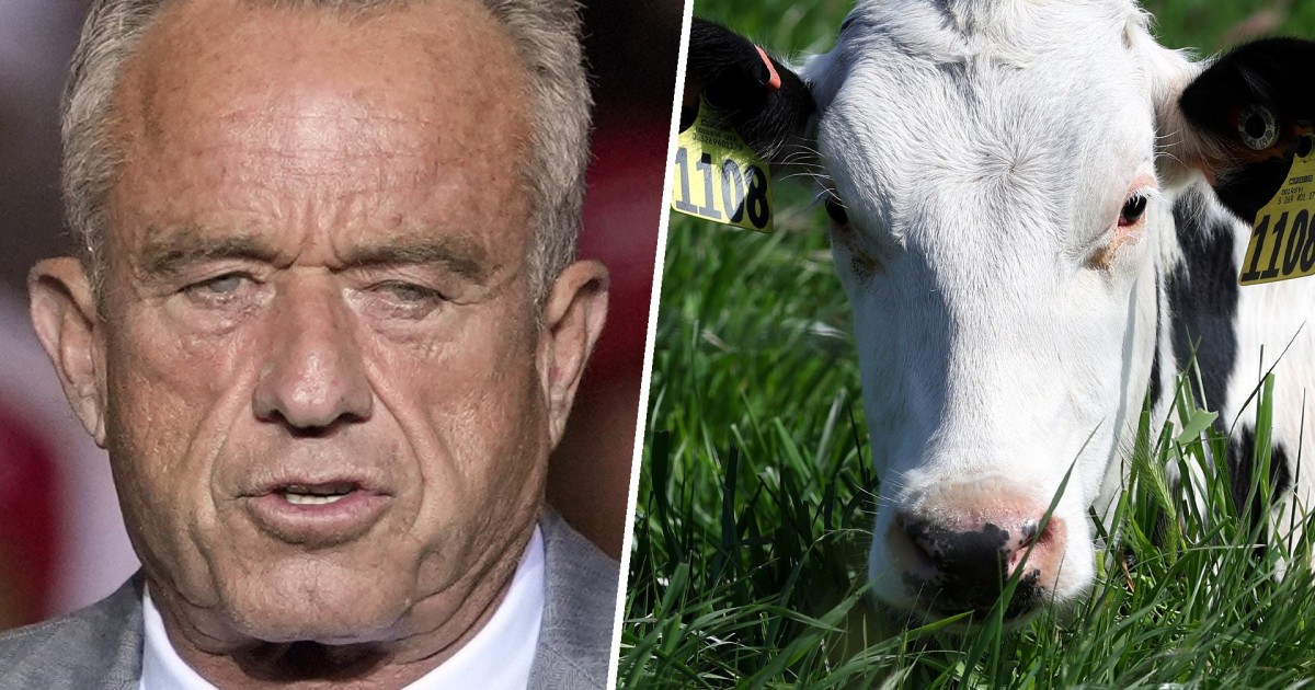 Despite bird flu concerns, RFK Jr. indulges raw milk interest [Video]