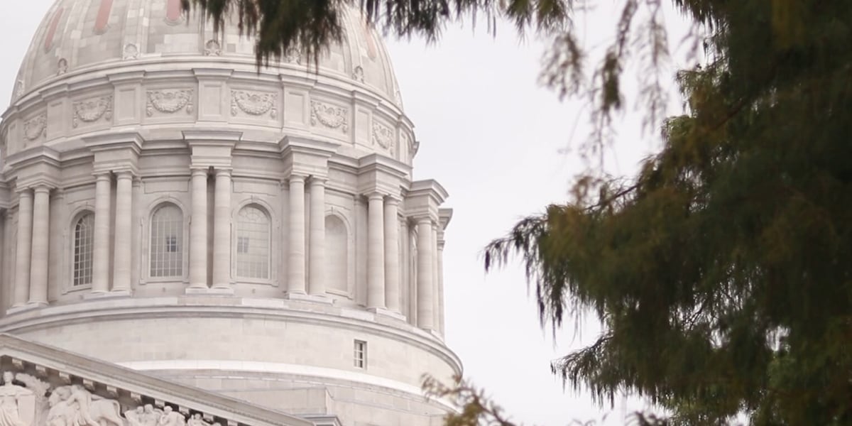 Income tax delivers majority of Missouris general revenue [Video]