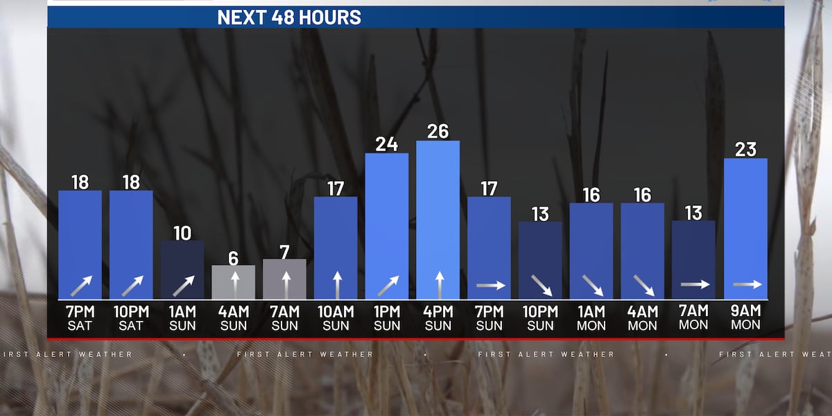 3-DAY PM FORECAST 12.7.24 [Video]