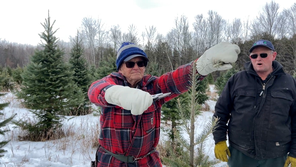 Pud Johnston, 99, still helping families find their dream Christmas tree near Kemptville, Ont. [Video]