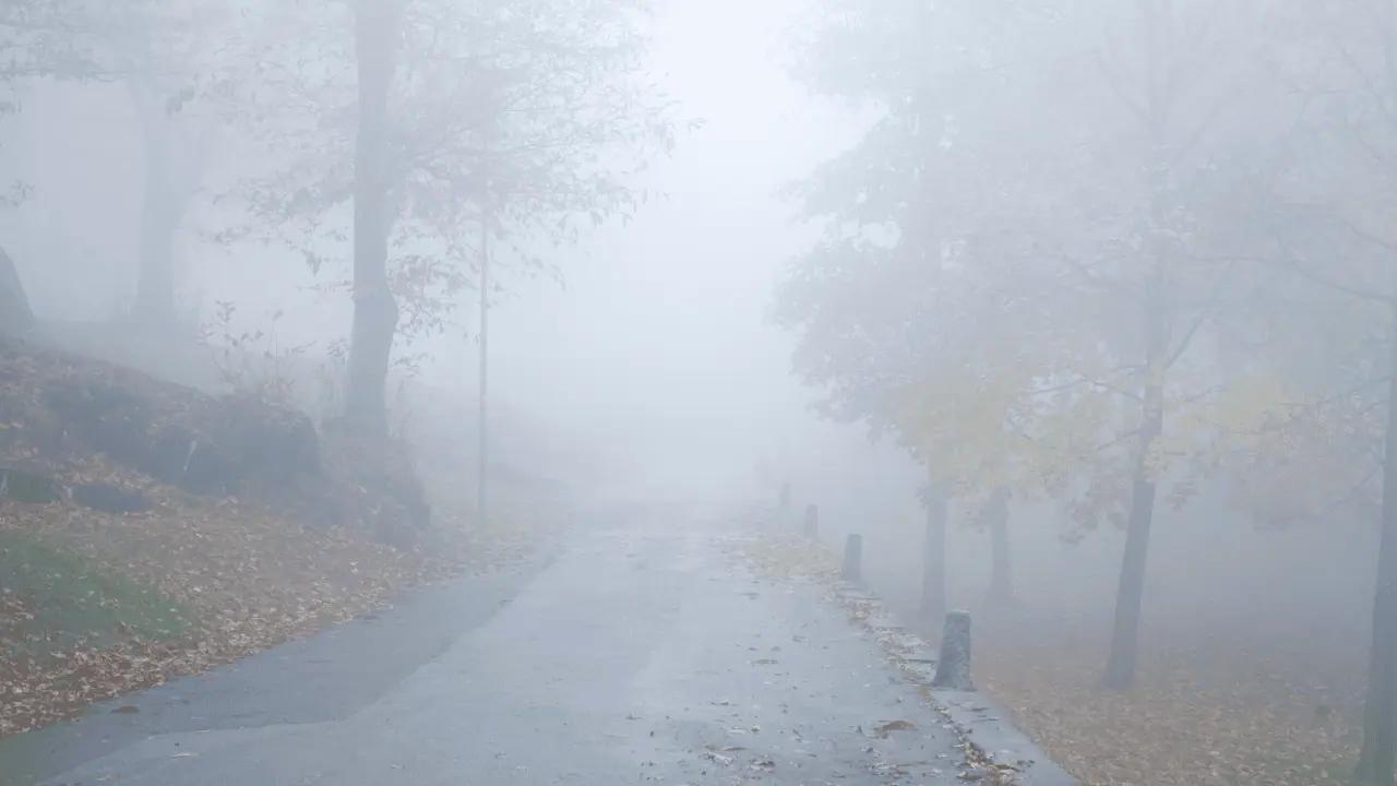 Dec. 10 weather: Foggy, rainy day on the way in southern Ontario [Video]