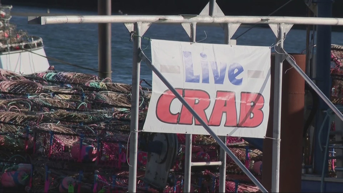 Commercial crab season kicks off next week at the Oregon Coast [Video]