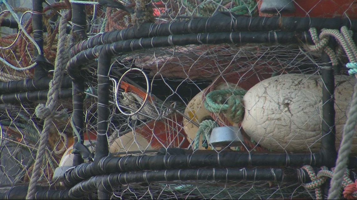 Commercial Dungeness crab season starts next week [Video]