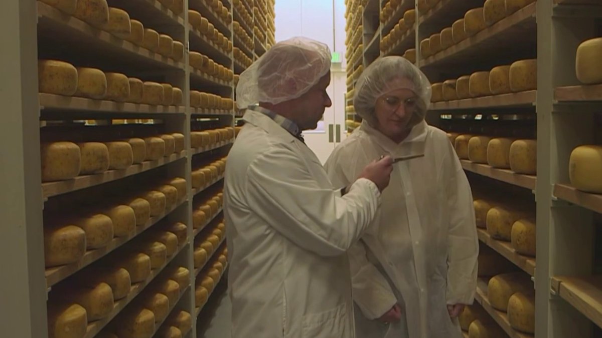 Oprahs endorsement a holiday gift to Bay Area cheese company  NBC Bay Area [Video]