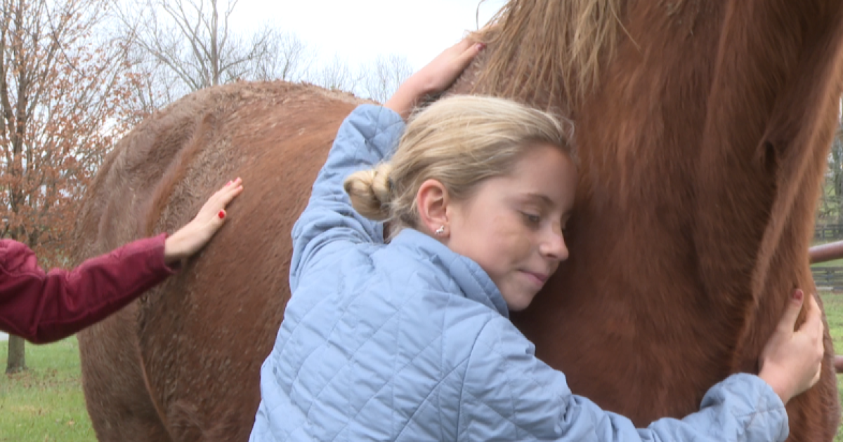 Nicholasville lifetime horse sanctuary [Video]