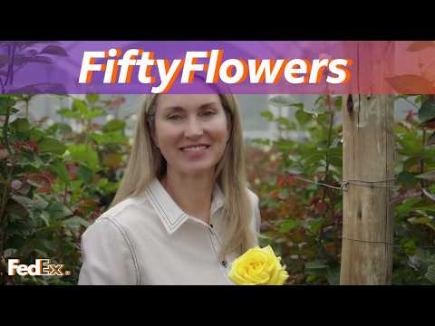 FedEx & FiftyFlowers: Sending Flowers Fast and Fresh [Video]