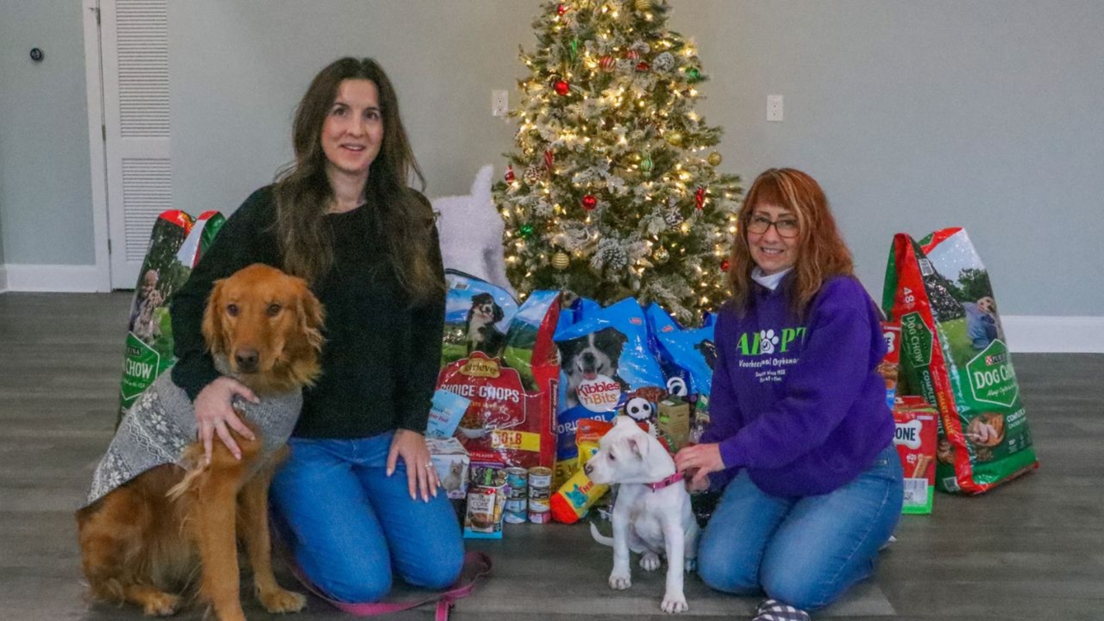 NJ small business gathers pet supplies for local animal organizations this holiday season [Video]