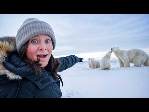 Face to Face with Wild Polar Bears [Video]