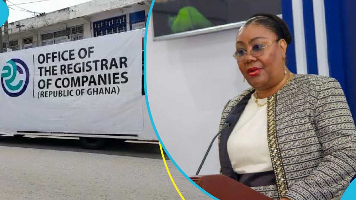 Registrar Of Companies To Delist Over 500,000 Companies From Register By End Of December [Video]