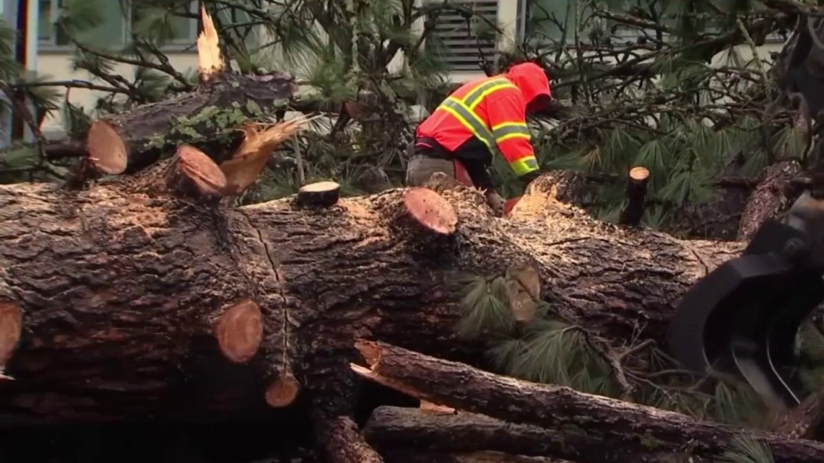 5 injured, roadways reopen following Scotts Valley tornado  NBC Bay Area [Video]