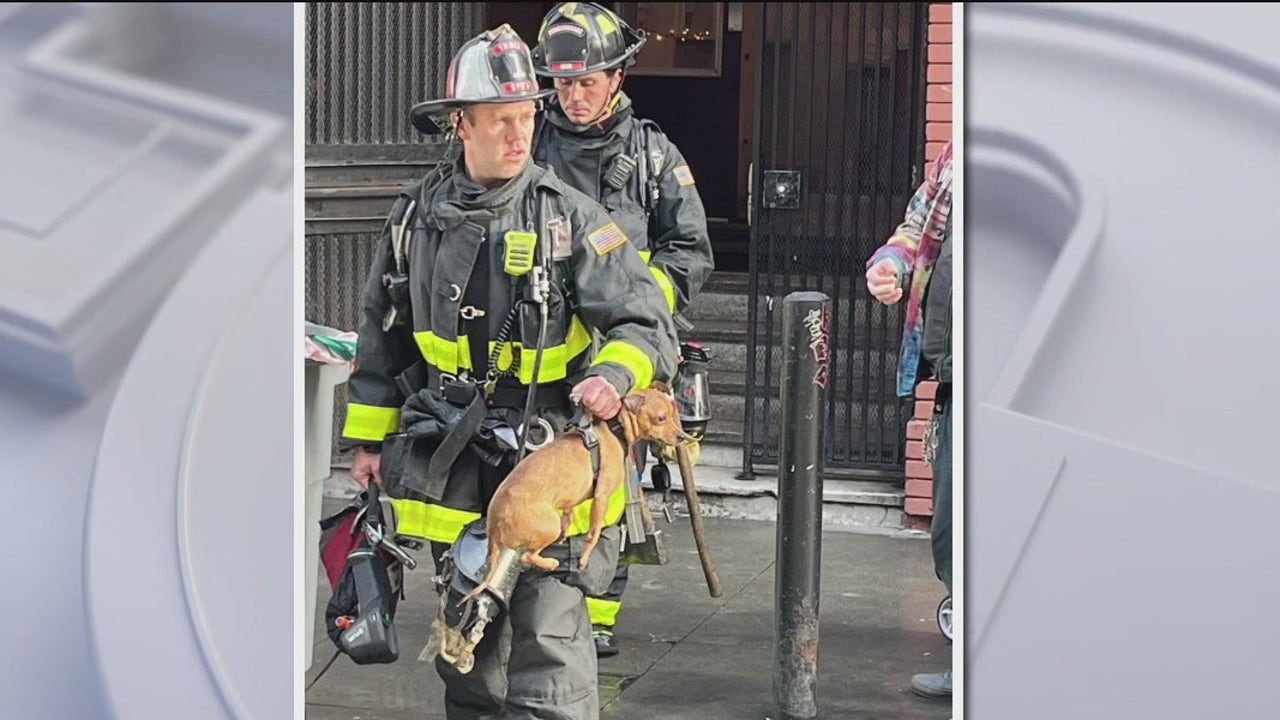 Dogs rescued from apt fire caused by charging battery [Video]