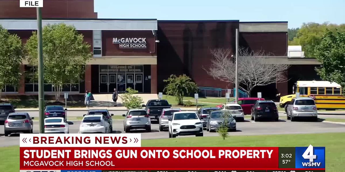 Student charged for bringing pellet gun to school [Video]