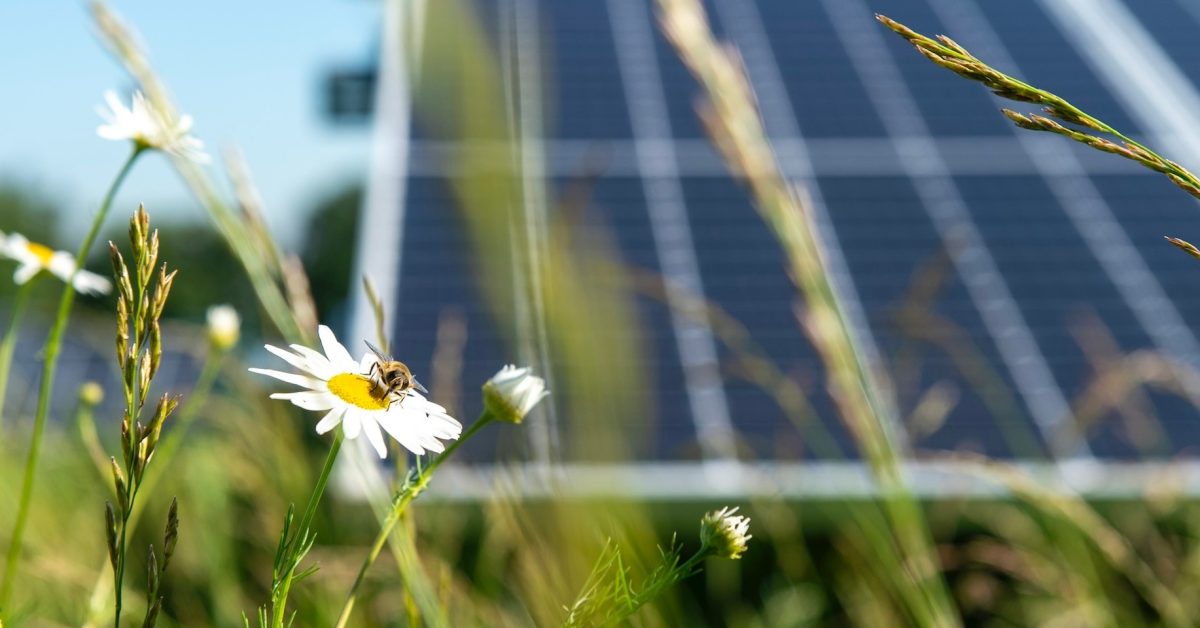 Cambridge’s new solar VPPA is the largest ever by any US city [Video]