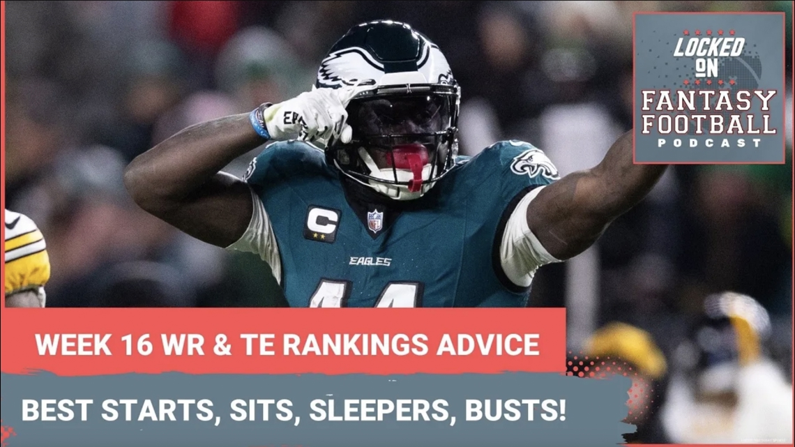 Fantasy football Week 16 WR and TE rankings: BEST starts for your lineups, sleepers, sits and busts [Video]