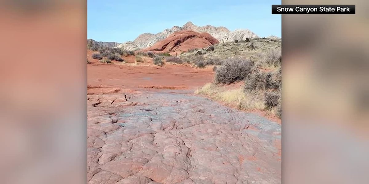 Blue powder stains red rocks in state park [Video]