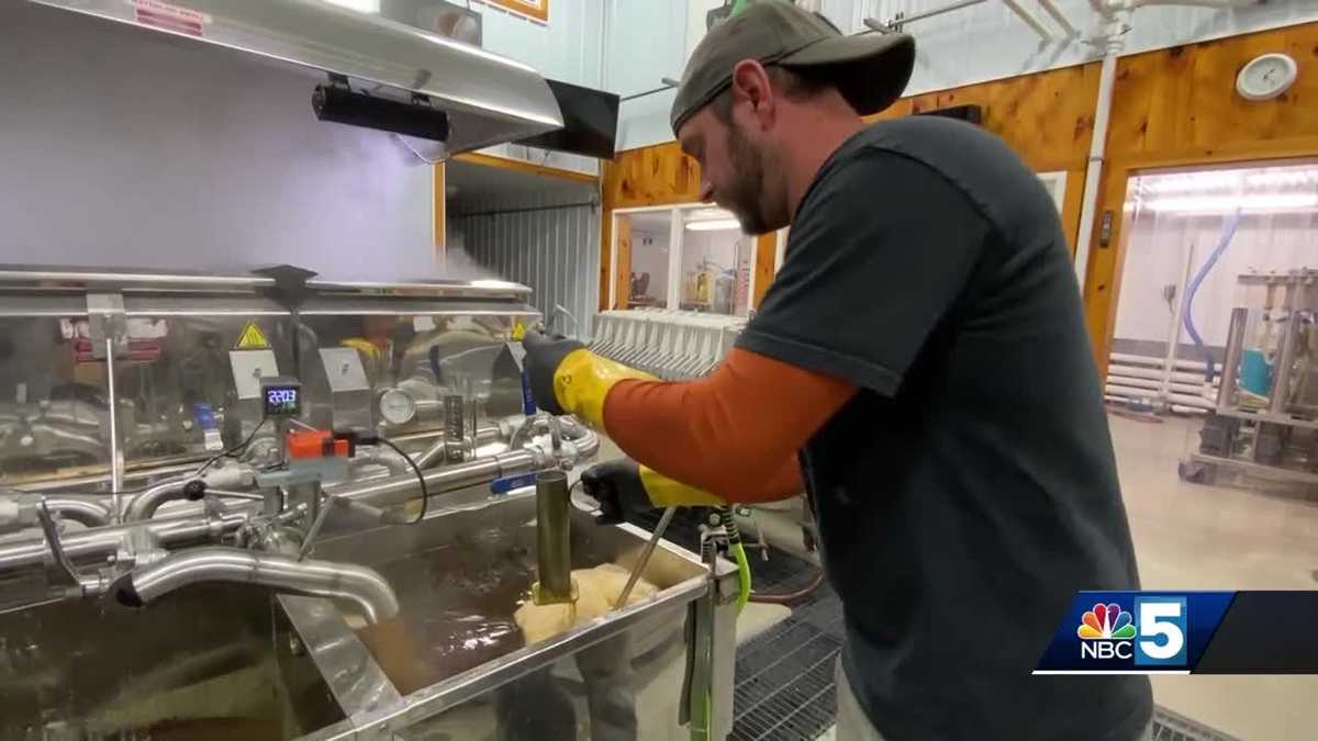 Maple syrup production gets off to early start across Vermont [Video]