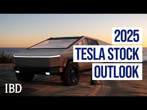 Will Elon Musk’s Big Bets On AI And Trump Pay Off For Tesla In 2025? | Industry Insights | IBD [Video]