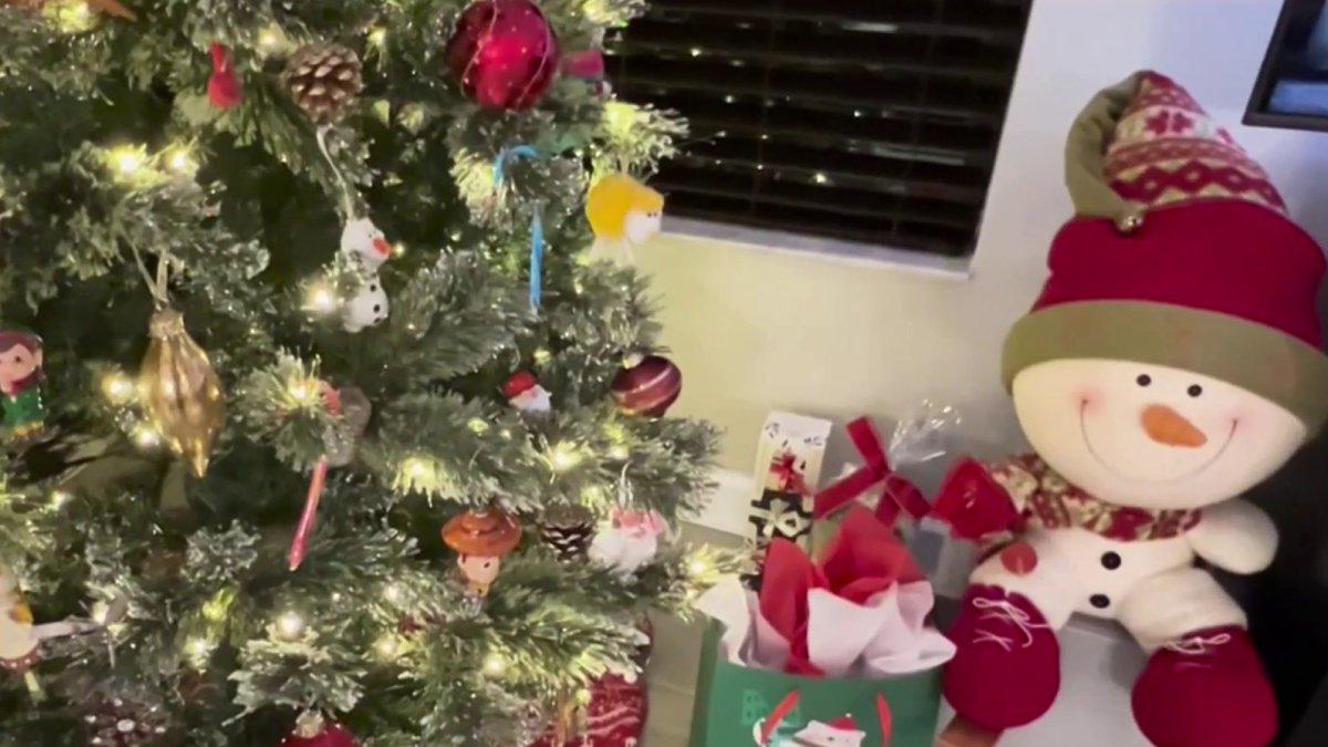 How to safely dispose of or recycle your Christmas tree  NBC 6 South Florida [Video]