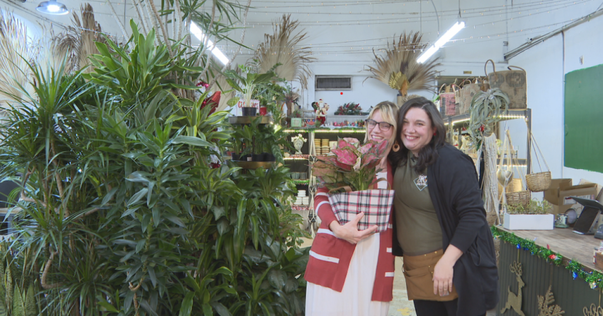 Local business gives plants to teachers for Christmas [Video]