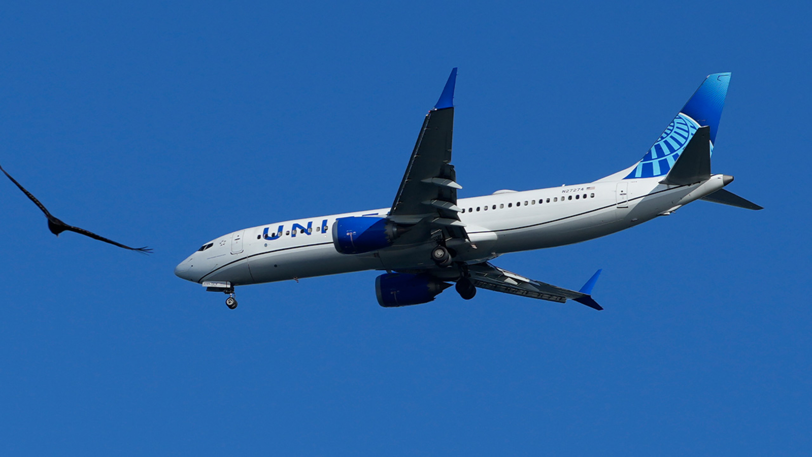 Body found in wheel well on United Airlines flight 202 from Chicago O’Hare to Maui Kahului airport, company says [Video]