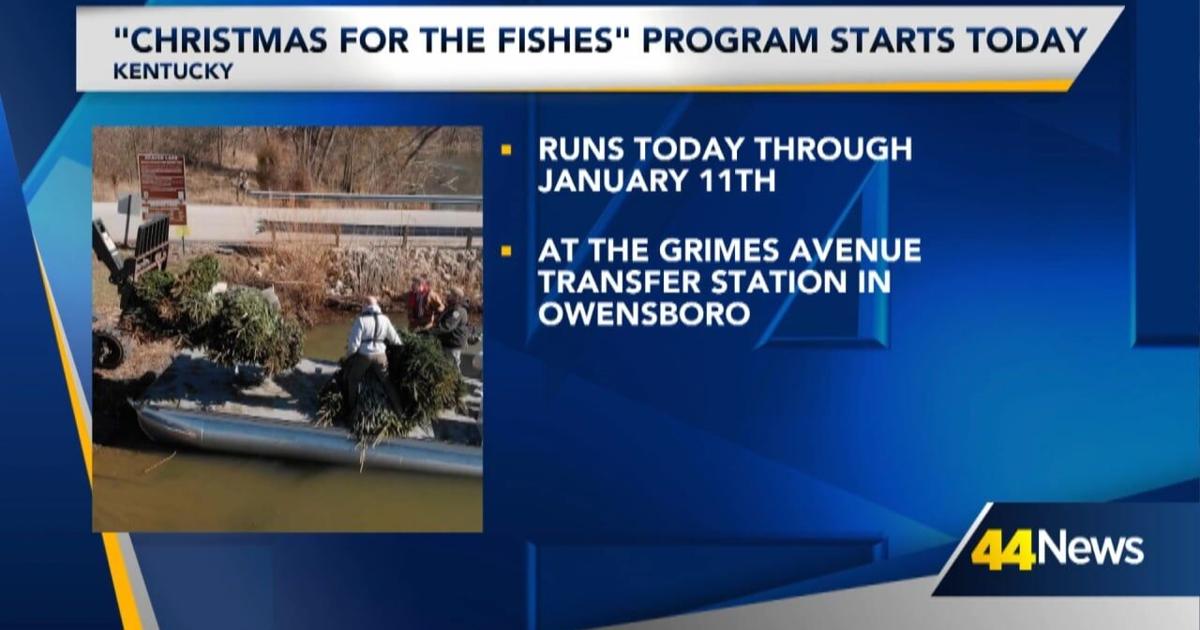 Christmas for the Fishes program begins in Kentucky | Video