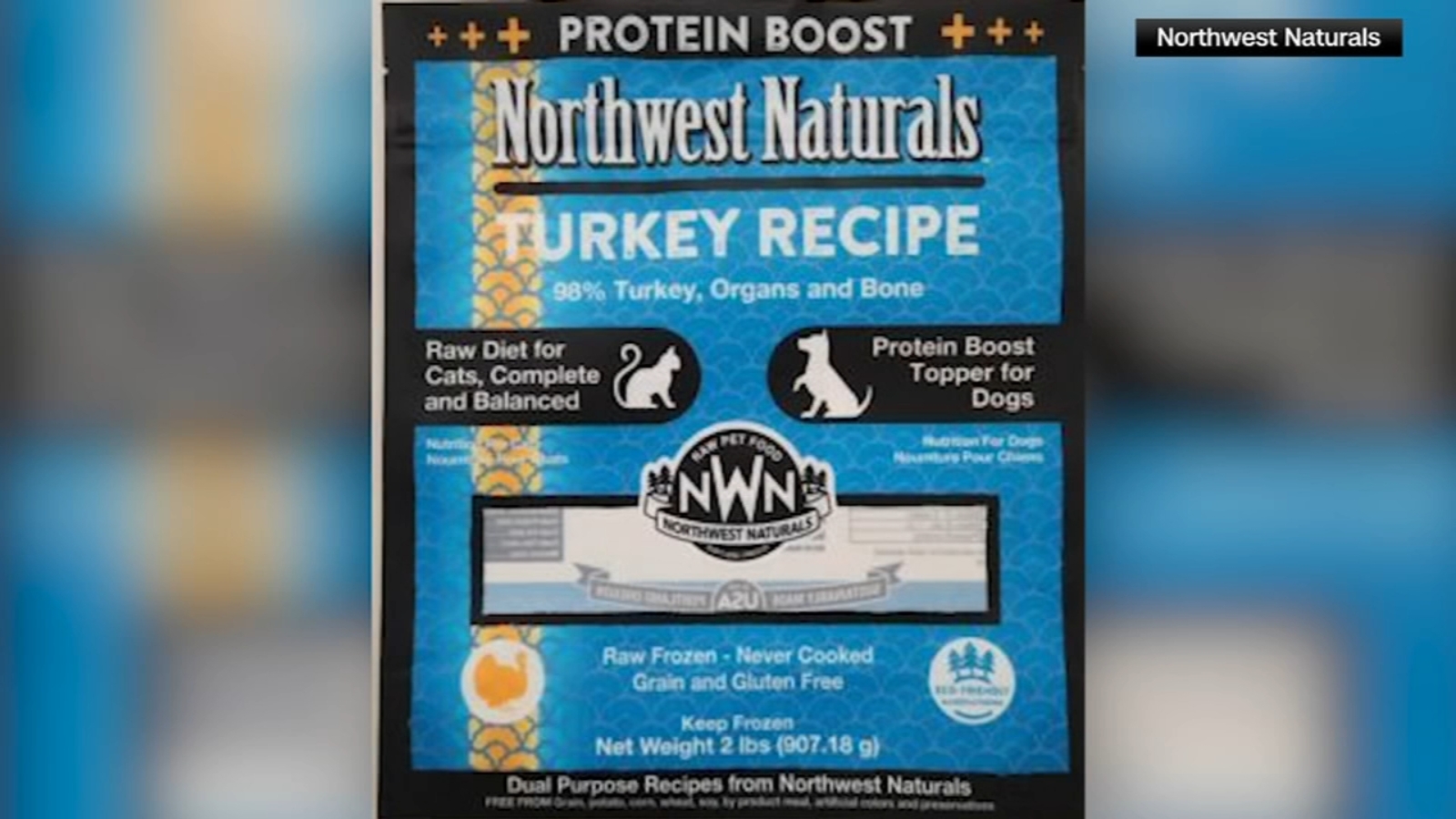 Feline Turkey Recipe raw frozen pet food recall issued by Northwest Naturals after Oregon cat dies, tests positive for bird flu [Video]