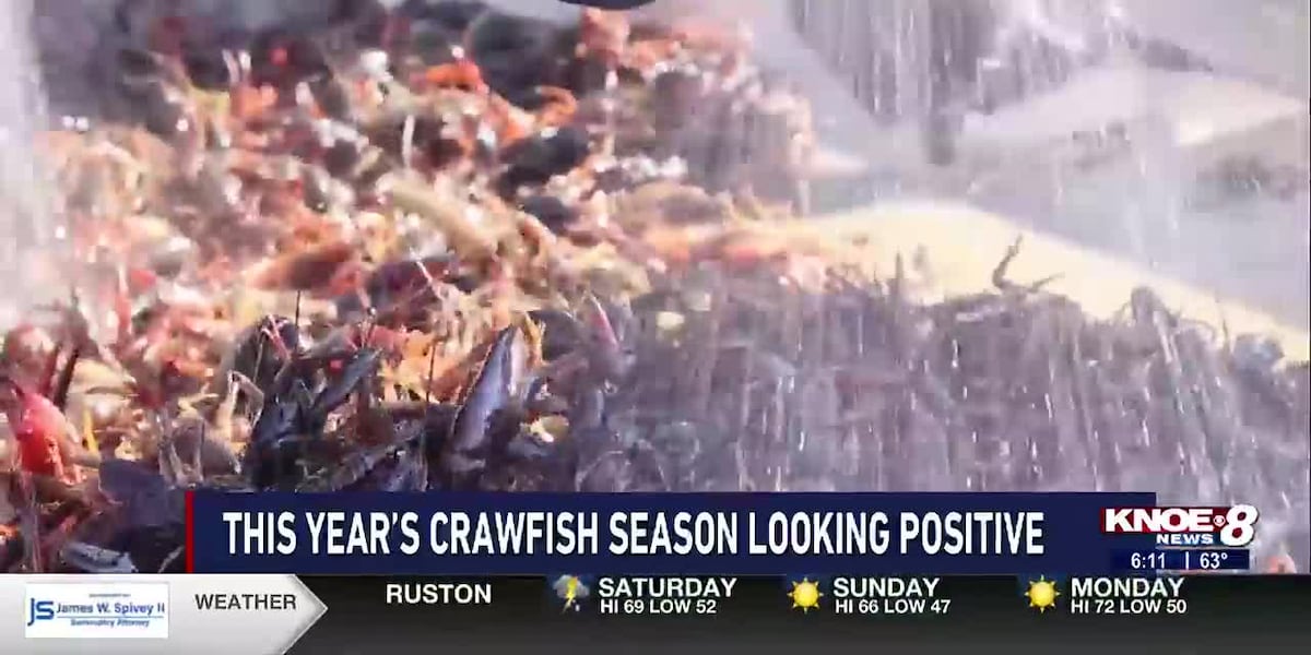 Crawfish season off to great start [Video]