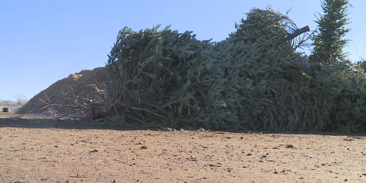 Where can Sioux Falls residents take their Christmas tree and decorations? [Video]