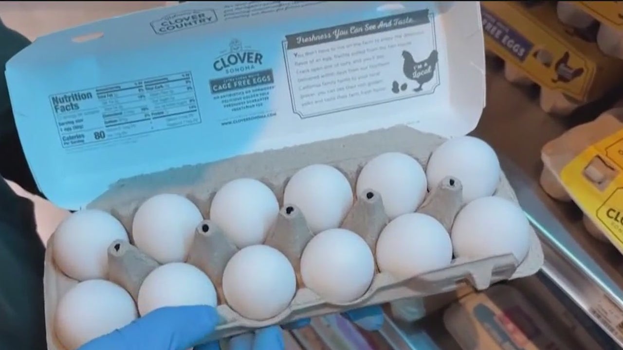 Oakland donut shop struggles to find eggs amid bird flu shortage [Video]