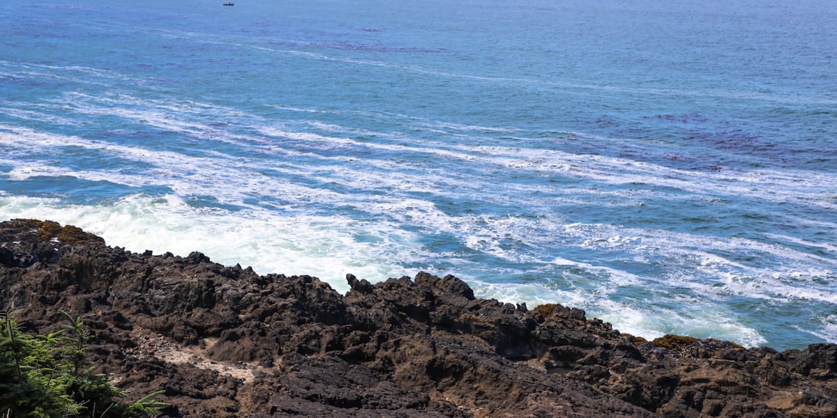 Several state parks offer free New Years Day hikes in Oregon [Video]