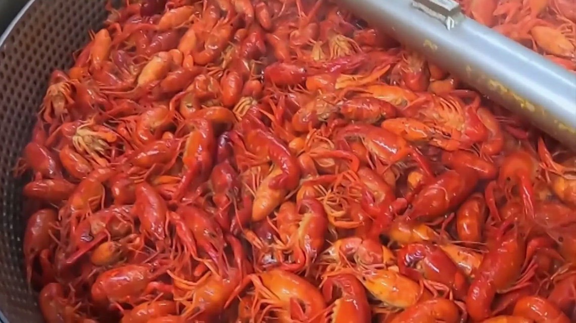 Texas crawfish season: Why prices should be lower this year [Video]