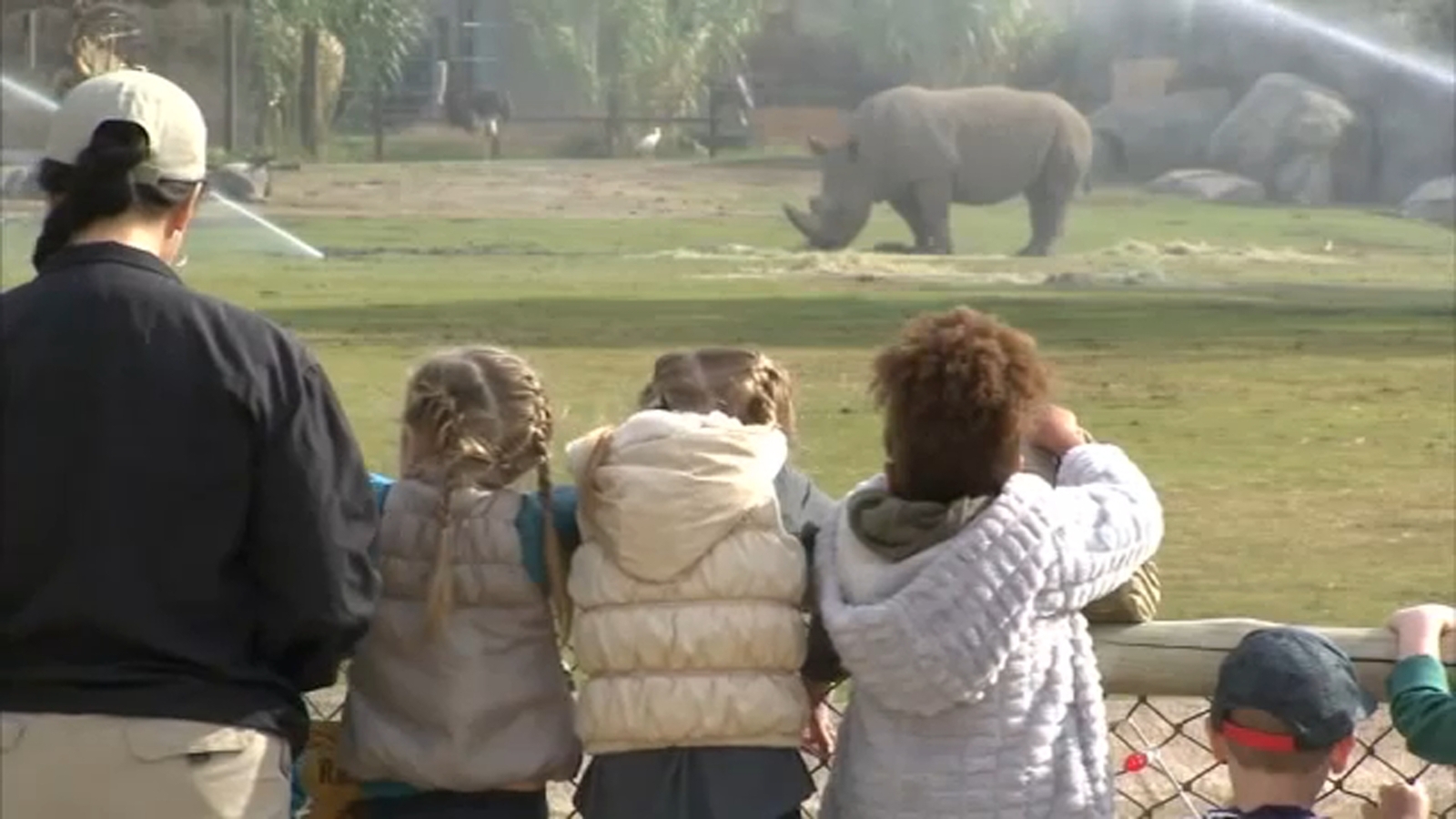 Fresno Chaffee Zoo prices set to go up during the new year [Video]