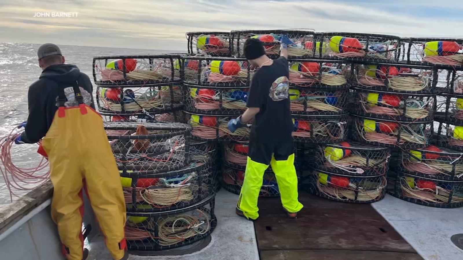 Bay Area commercial Dungeness crab season starts Sunday after delays [Video]