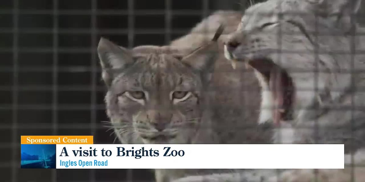 Ingles Open Road visits Brights Zoo [Video]