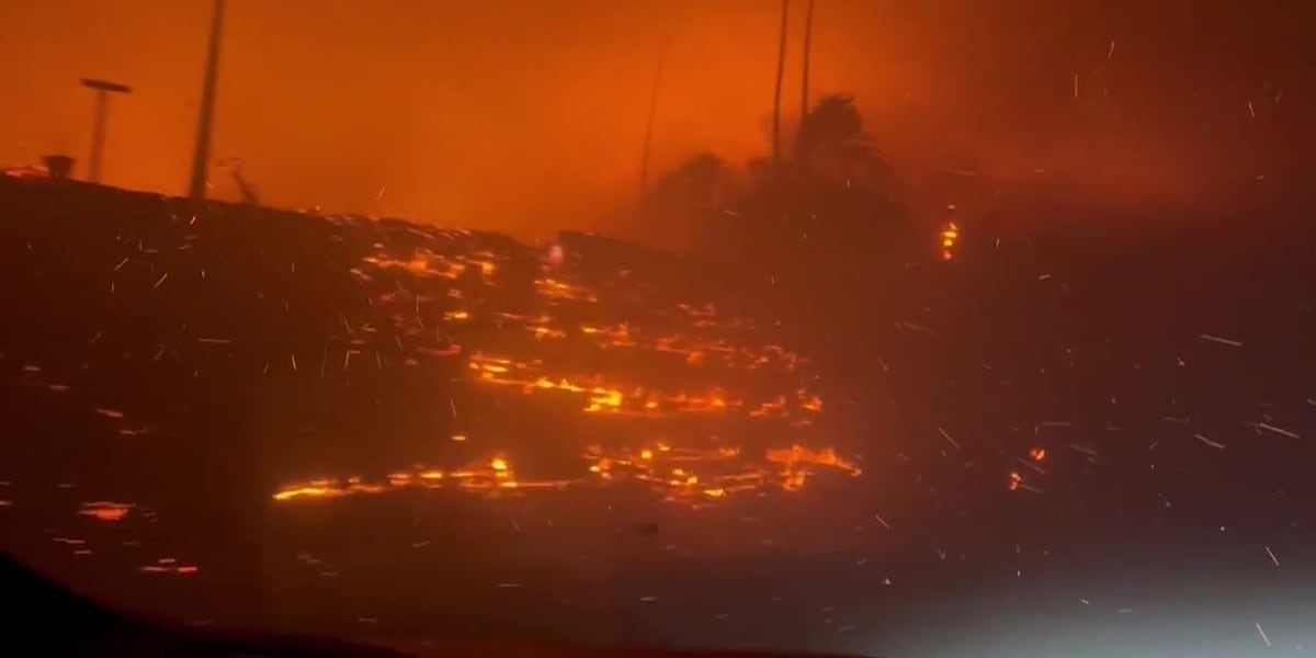 Movie premieres canceled due to California wildfires [Video]