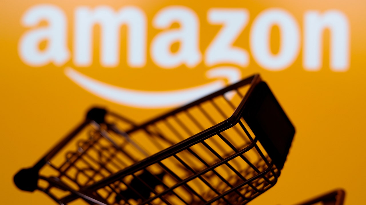 Amazon trims back DEI initiatives, latest company to make cuts [Video]