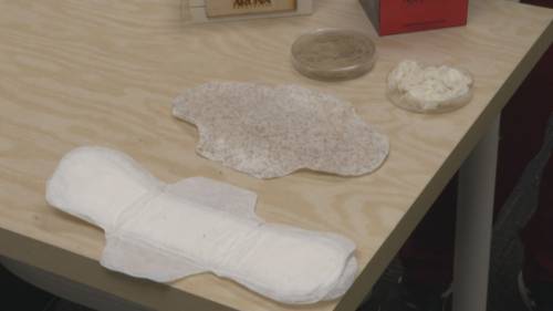 Halifax startup gaining attention with compostable menstrual products [Video]