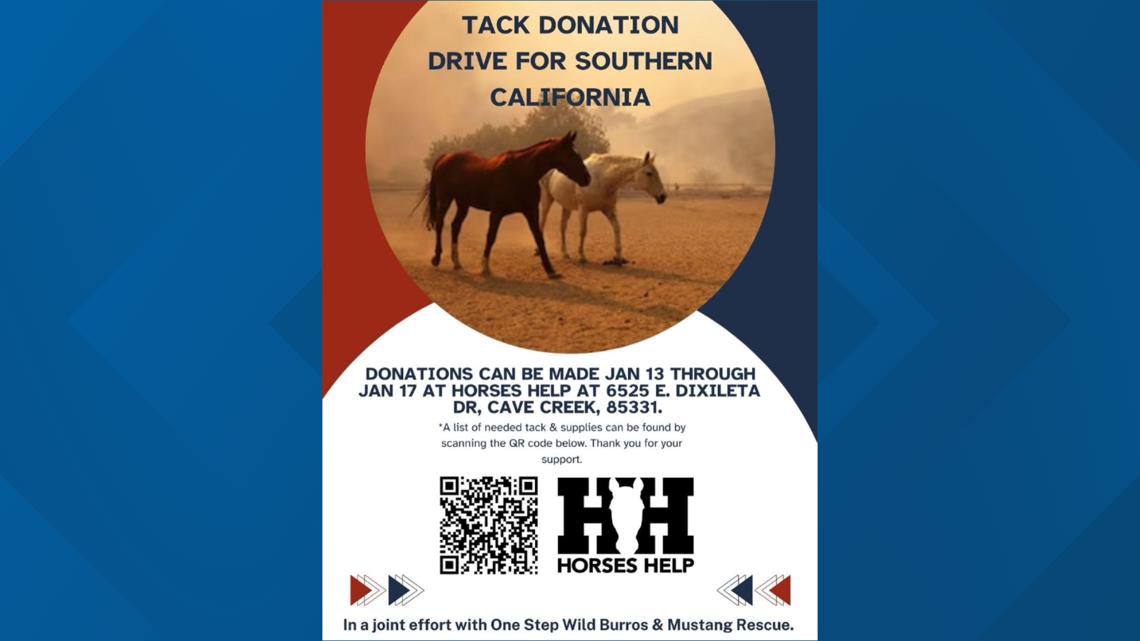 Arizona non-profit helps horses forced to evacuate in southern California fires [Video]