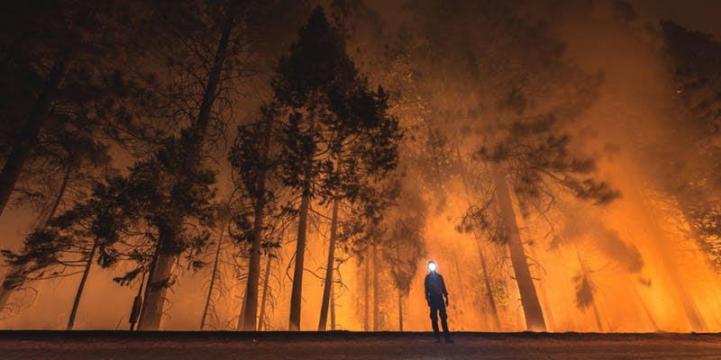 This Artist Spent Five Years Chasing Wildfires Across California. See His Harrowing Footage Here [Video]