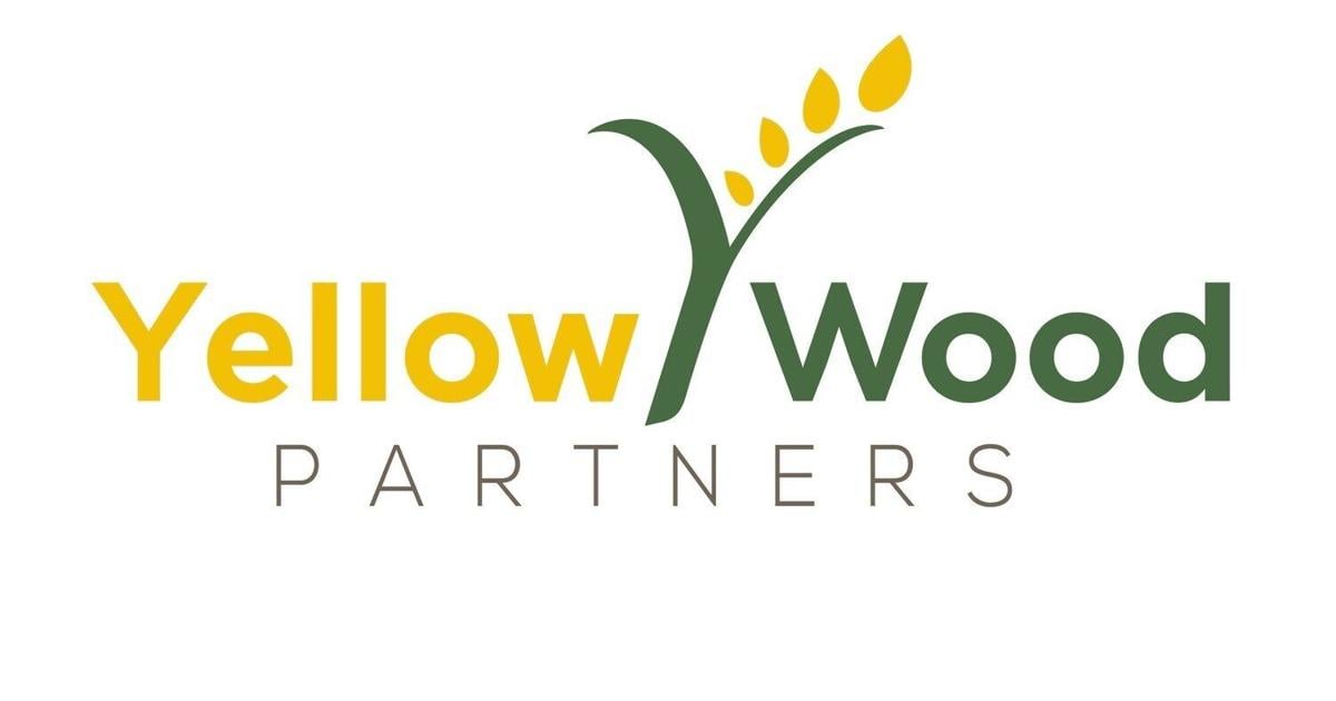 Yellow Wood Partners Adds Kelly Downey as Operating Partner | PR Newswire [Video]