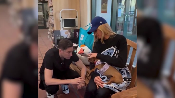 Paris Hilton fosters dog displaced by Los Angeles wildfires | News [Video]