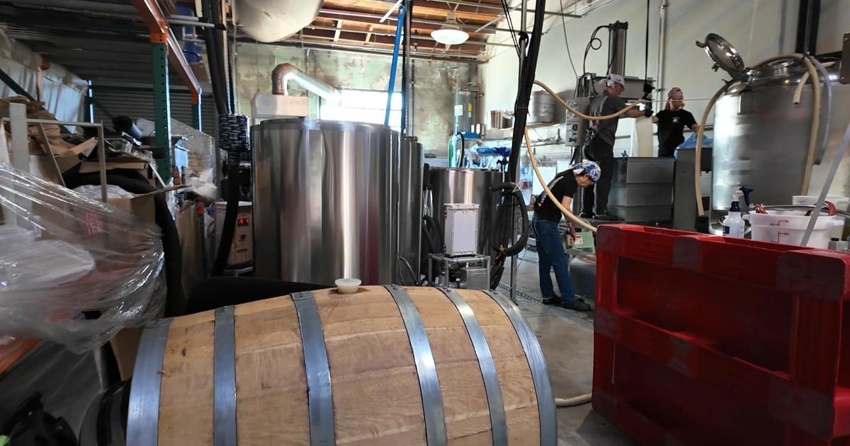 U.S. craft sake breweries double in number as new consumers embrace the drink [Video]